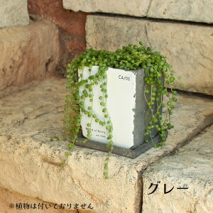 スクエア 陶器鉢 鉢カバー 4号サイズ ソーサー付 一面のみ ホワイト