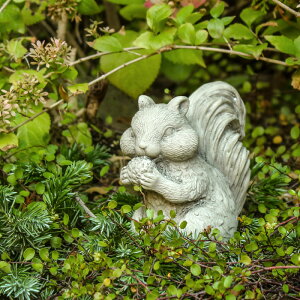 [sA Be[W XN[ X I[ig iGR53IVj