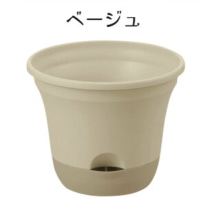  ȒP ʋ v EI|bg ʋ Aؔ 20^ / 30^