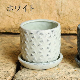 モダン 陶器鉢 エカイユサークルポット ソーサー付