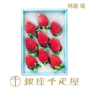 mWEBnm\tIԋ߁nD I 䕁i9jmnm|Cg2{n` Ε NX}X  Mtg 蕨 t[c XC[c v[g َq j a