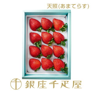 m\񏳂蒆nD  V(܂Ă炷) 12`15 No1mnm|Cg2{n` Ε Ε NX}X  Mtg 蕨 t[c XC[c v[g َq j