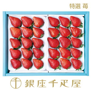 m\񏳂蒆nD I 䕁i24`36jNo3 mnm|Cg2{n` Ε Ε NX}X  Mtg 蕨 t[c XC[c v[g َq j a 