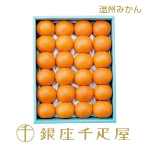 m\񏳂蒆nD B݂24 No16mnm|Cg2{n` Ε ݂ Mtg 蕨 t[c XC[c v[g َq j a j   