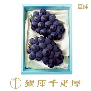 D@ 2[mnm|Cg2{n` hV̓ Ԃǂ Mtg 蕨 t[c XC[c v[g َq j a j  Cj   D