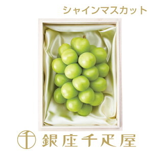D VC}XJbg1[ No6 mnm|Cg2{n` VC}XJbg Ԃǂ Mtg 蕨 t[c XC[c v[g َq j a j  C