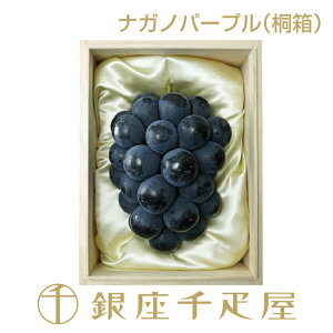 D iKmp[v 1[i˔jmnm|Cg2{n` hV̓  䒆 Ԃǂ Mtg 蕨 t[c XC[c v[g َq j a j  