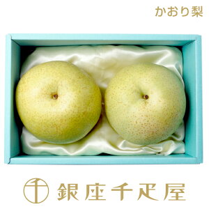 D 藜 2mnm|Cg2{n` hV̓  Mtg 蕨 t[c XC[c v[g َq j a j  Cj   D 