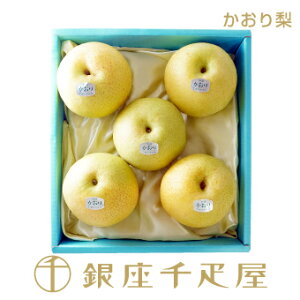 D 藜5mnm|Cg2{n` hV̓  Mtg 蕨 t[c XC[c v[g َq j a j  Cj   D 