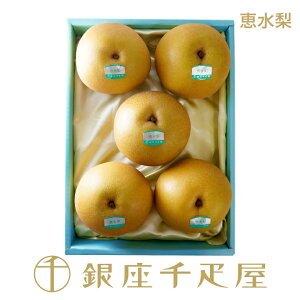 D b5mnm|Cg2{n`  Mtg 蕨 t[c XC[c v[g َq j a j  Cj   D `