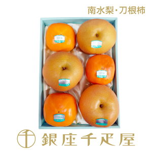 D 쐅E`lmnm|Cg2{n` Ε Ε NX}X ` Mtg 蕨 t[c XC[c v[g َq j a j  Cj 