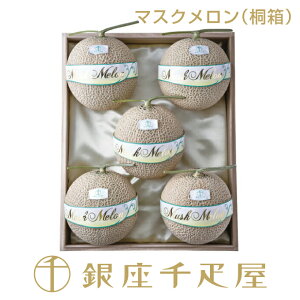 D@}XN5 i˔jNo.30mnm|Cg2{n` 䒆  ̓  Mtg 蕨 t[c XC[c v[g َq j a j  
