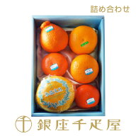 国産柑橘詰合せ［送料無料］［数量限定］［ポイント2倍］～フルーツ ギフト 贈り物 スイーツ プレゼント …