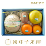 銀座千疋屋 【感謝の気持ち】季節の果物詰合せ［送料無料］［ポイント2倍］～ 詰め合わせ ギフト 贈り物 …
