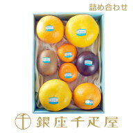 銀座千疋屋　果物詰合せ［送料無料］［ポイント2倍］～ お中元 御中元 父の日 母の日 詰め合わせ ギフト …
