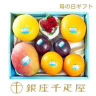 銀座千疋屋 お母さんありがとう（フラワー＆フルーツ2）5/7(木)〜5/10(日)のいずれかの日にちにお届け～ …