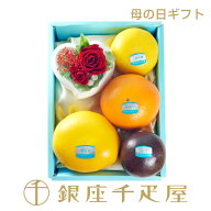 銀座千疋屋 お母さんありがとう（フラワー＆フルーツ1）5/7(木)〜5/10(日)のいずれかの日にちにお届け～ …