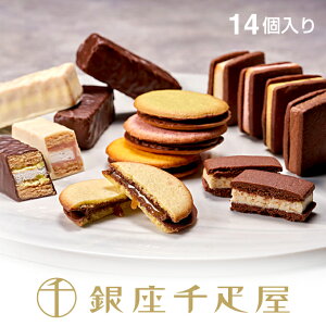 Dm~GnVRZNV` Ε NX}X `R[g Ăَq lߍ킹Mtg 蕨 t[c XC[c v[g َq j a j  