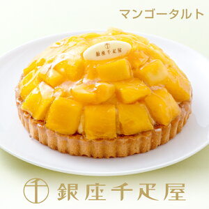 �����D���@����^���g�i�}���S�[�j�m���������n�m�|�C���g2�{�n�` �N���X�}�X ���Ε� �^���g �P�[�L �Ă��َq �M�t�g �l�ߍ��킹 ���蕨 �t���[�c �X�C�[�c �v���[���g ���َq ���j�� �a