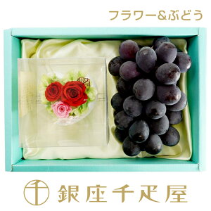 D@Et[Zbg(󒍎tɏ)mnm|Cg2{n` hV̓ Ԃǂ Mtg 蕨 t[c XC[c v[g َq j a j  