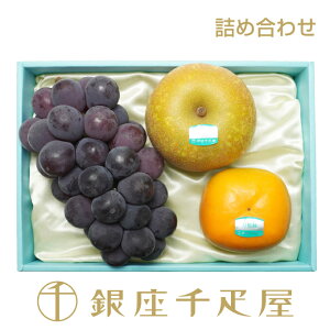D H̖ol i͂ԁF9/12`9/15̂ꂩ̓ɂ͂jmnm|Cg2{n` hV̓ lߍ킹 Mtg 蕨 t[c XC[c v[g a 
