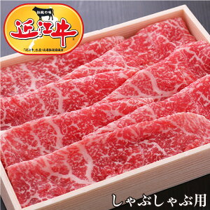 y10,800~ȏゲwőzy Ԃԁz ߍ]ԂԗpXCX300`1000g yԂ/Ă/ēɍœKIzy⋍E_ˋƕԓ{Ouha