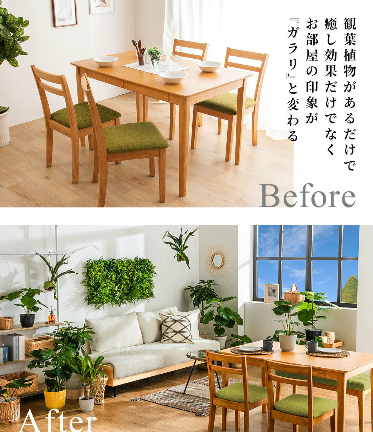 楽天市場 | ガーデン専門店 Tsukuri - 観葉植物のある暮らし