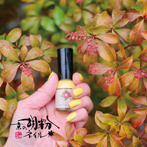 ӕlC |bV lCJ[ Ri܂Ԃj CG[ F I lCA[gɁBWFŏ񂾒܂̂ɁBYŎqɂSB̌ӕlC 10ml