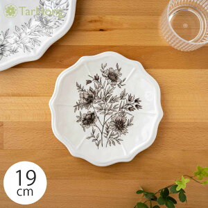 A{[hz[EFA t@[nEX{^jJ ɂM v[g 19cm ȃfUCH vX`bN H@Ή BPAt[ M ` fBi[ T_