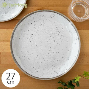 A{[hz[EFA g[g|^[ ɂM v[g 27cm ȃfUCH vX`bN H@Ή BPAt[ M 傫 ` fBi[