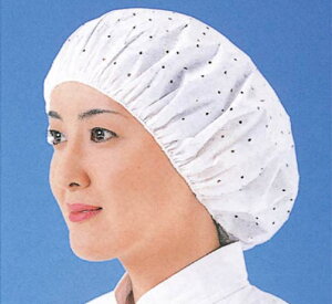 �����X�q(100����)EL-102P L �s���N �Ɩ��p 4796800