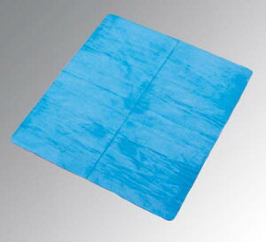 y݌ɌzvXZ[k R302B u[ Ɩp 5494470