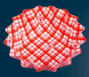 RREP[X(500)ی^ Ђ܂   Ɩp 5754810