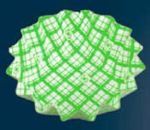 RREP[X(500)ی^ Ђ܂   Ɩp 5754830