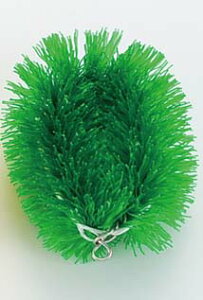 j[J[^V (10) Ɩp 6437180