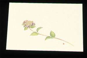 ڎO ΂܂ N[(100)WSS-6 (5`6) Ɩp 7960000