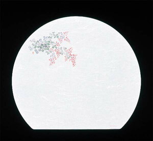 ڎO ΂܂ RۉԘa(100)WH-17 (9`11) Ɩp 8023000