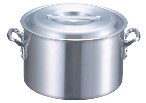 EBM A~ vVFt IH (ڐt)21cm Ɩp 8106700