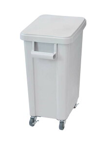 X ~[pLX^[y[(rt)45L O[(GY) Ɩp 0559200