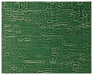 ubtFEH[}[ 1/2TCYp pM Î() Ɩp 1029950