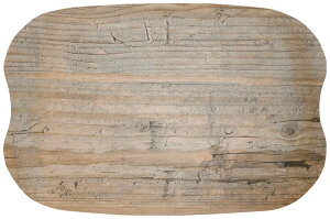 �A�[�X�g���[ ���B���e�[�W 43cm×23cm R065110 �Ɩ��p 1243050