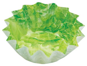 xWJbv ^X(500) Ђ܂  Ɩp 2135660