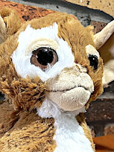 O MY ObY AJG NICI ʂ 25cm NbV Mtg v[g f