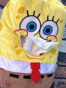 X|W{u ObY AJG _CJbgʂ݃eBbVP[X {bNXeBbVJo[ J[pi ԗp