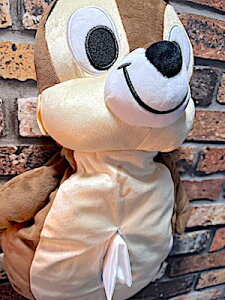 fBYj[ `bvf[ ObY AJG ʂ݃eBbVP[X Disney `bv Ǌ| ԗp ԓ J[pi Aj