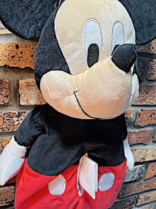 fBYj[ ObY AJG ʂ݃eBbVP[X Disney ~bL[}EX Ǌ| ԗp ԓ J[pi Aj