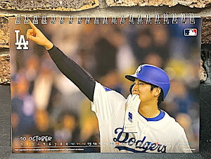 Jĕ 2026N ߘa8N J_[ J_[ AJG Ŕ |X^[ pu o[ ObY X K[W fBXvC 싅 T[XhW[Yy݉iz