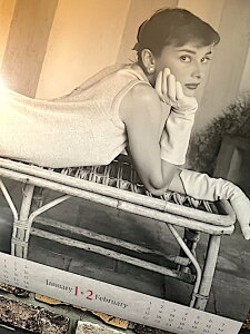 Audrey Hepburn I[h[wbvo[ 2026N ߘa8N J_[ Ǌ| Ŕ |X^[ pu o[ ObY X K[W fBXvC f Dy݉iz