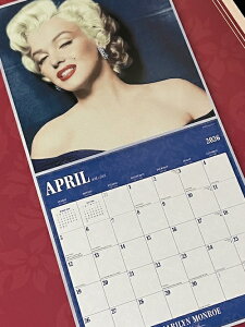 2026N ߘa8NJ_[ MARILYN MONROE }[ A Ǌ| AJG Ŕ pu o[ ObY X K[W fBXvC D ^gy݉iz