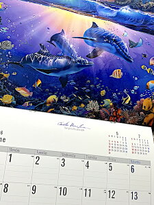 2026N ߘa8NJ_[ LASSEN bZ Ǌ| AJG Ŕ pu o[ ObY X K[W fBXvC G Ɓy݉iz